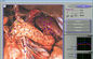 Macchina di prova portatile dell'analizzatore di salute della composizione corporea 3d NLS fornitore