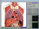analizzatore di composizione corporea in salute di 3d NLS, analizzatore del globulo fornitore