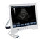 Sistema diagnostico di ultrasuono di TS20 Digital per l'instituto di ginecologia e di ostetricia fornitore