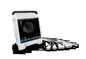 Sistema diagnostico di ultrasuono di TS20 Digital per l'instituto di ginecologia e di ostetricia fornitore