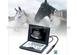 Porcellana Sistema diagnostico ultrasonico di Digital dell'analizzatore veterinario di ultrasuono del computer portatile CLS5800 in pieno fornitore