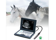 Porcellana Sistema diagnostico ultrasonico di Digital dell&#039;analizzatore veterinario di ultrasuono del computer portatile CLS5800 in pieno fabbrica