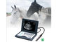 Sistema diagnostico ultrasonico di Digital dell'analizzatore veterinario di ultrasuono del computer portatile CLS5800 in pieno fornitore
