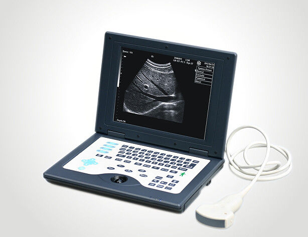 Sistema diagnostico ultrasonico di Digital dell'analizzatore veterinario di ultrasuono del computer portatile CLS5800 in pieno
